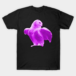 Owl Purple T-Shirt